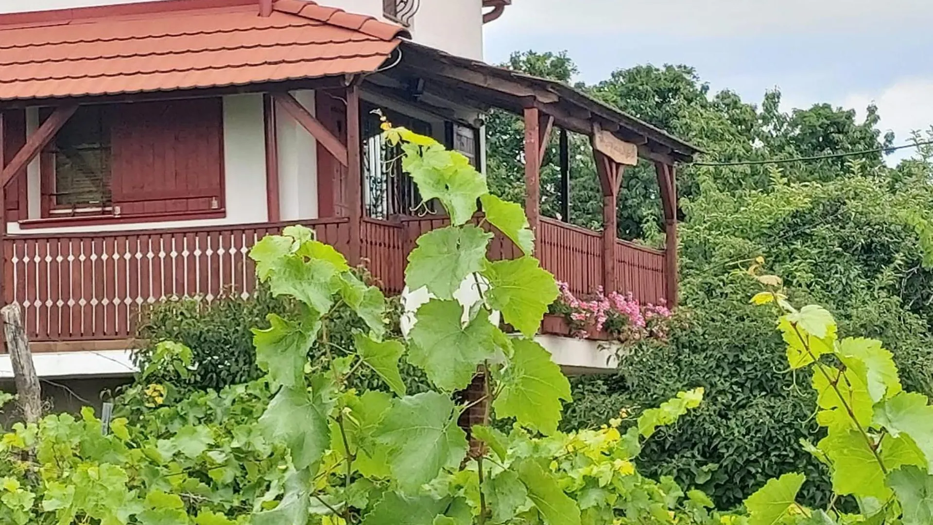 Szolocskei Vendeghaz Es Piheno Villa Eger Ungern